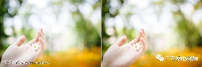 通透效果：用LR调出外景甜美清新效果