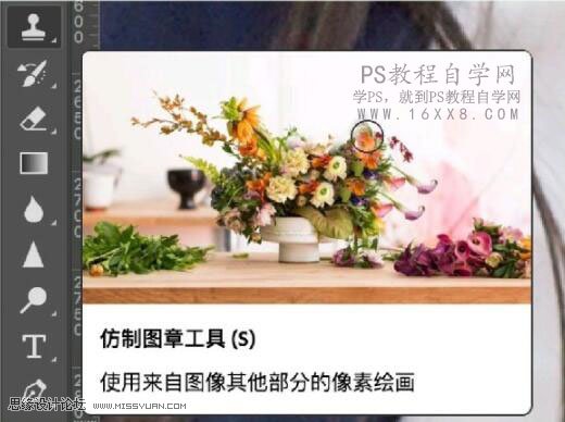 小清新效果：用LR调出人像唯美清新效果