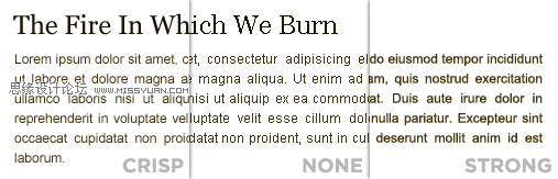 网页设计师值得学习的10个技巧