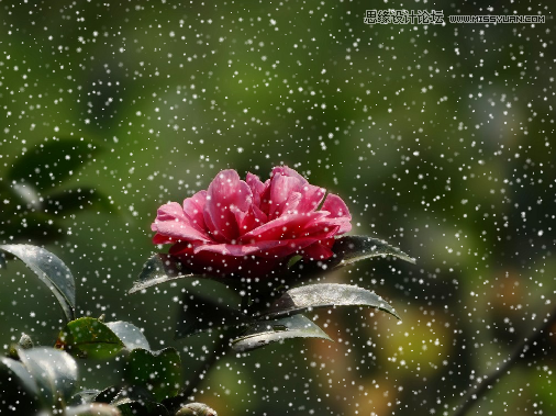 CorelDRAW快速制作雨天雪天和雾天效果