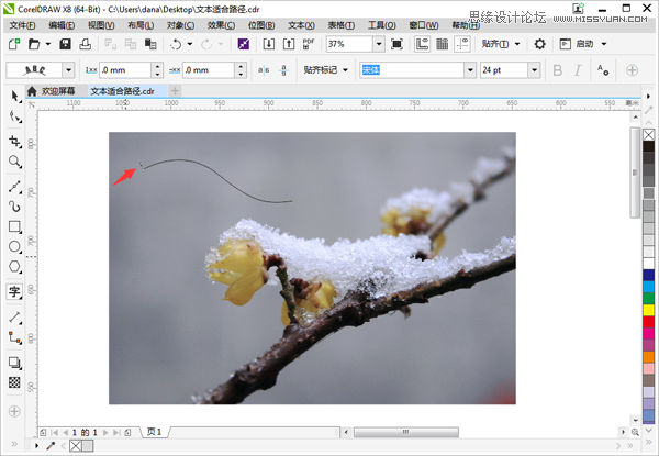 CorelDRAW如何制作路径文字