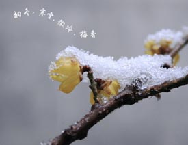 CorelDRAW制作路径文字设计教程