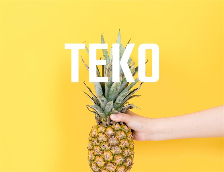 23款WEB设计师必备的英文字体下载