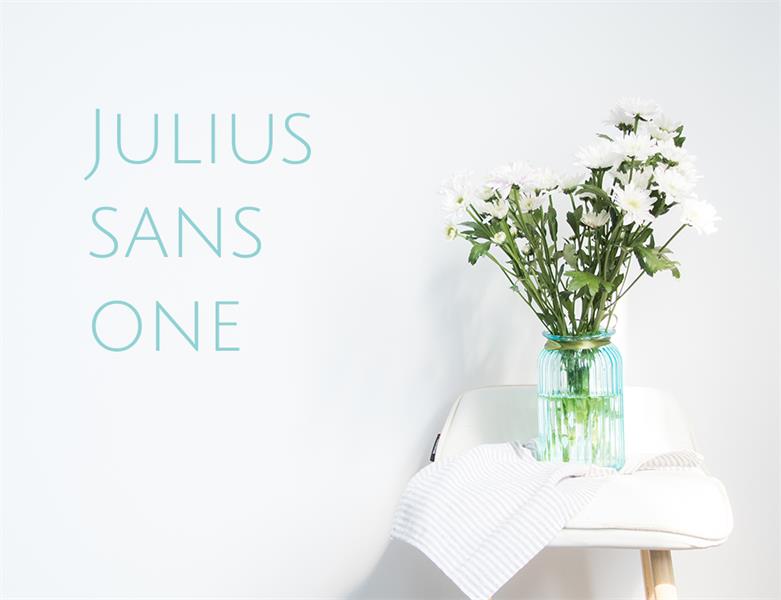 23款WEB设计师必备的英文字体下载