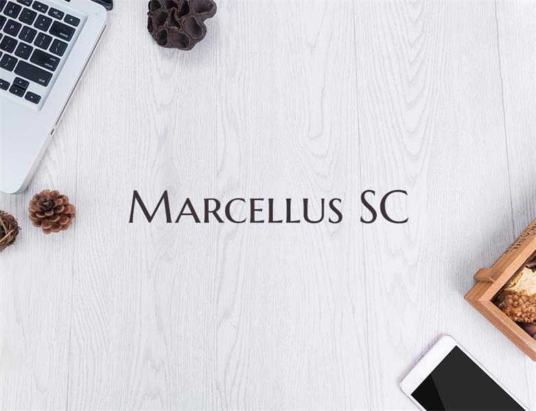 23款WEB设计师必备的英文字体下载