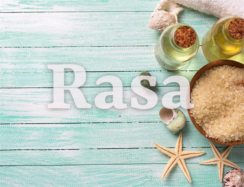 23款WEB设计师必备的英文字体下载