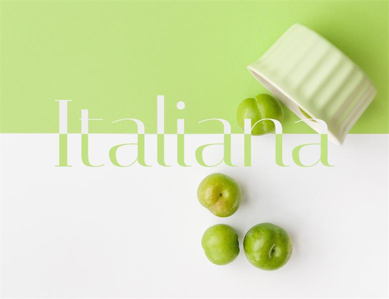 23款WEB设计师必备的英文字体下载