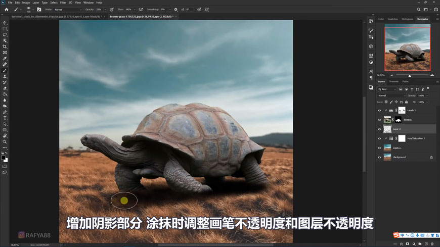 Photoshop合成创意的乌龟背着城堡效果图