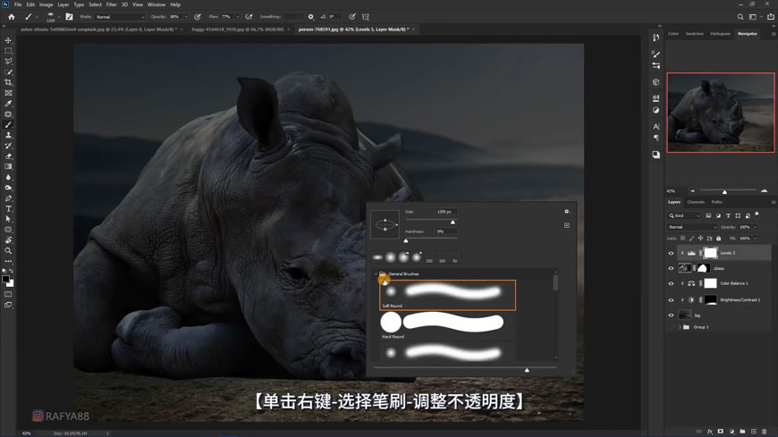 Photoshop合成水晶长有水晶的犀牛