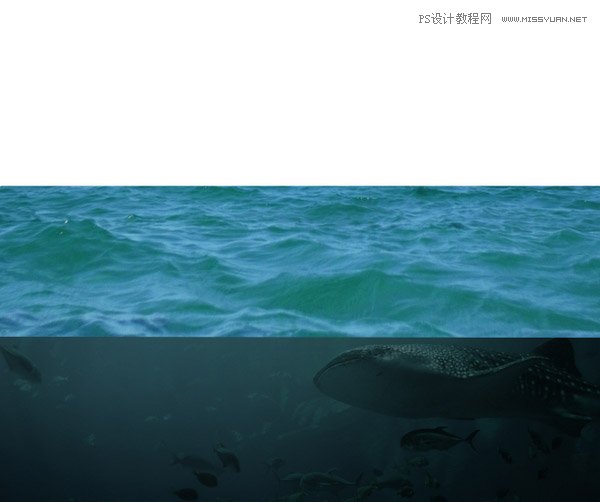 创意合成:用PS合成水中漂流的可爱猫咪