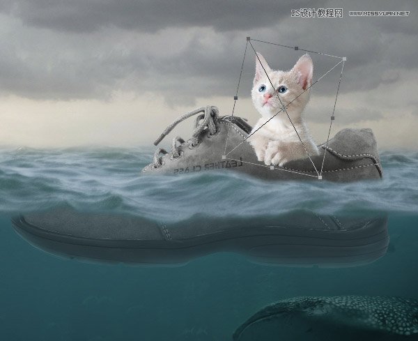 创意合成：用PS合成水中漂流的可爱猫咪