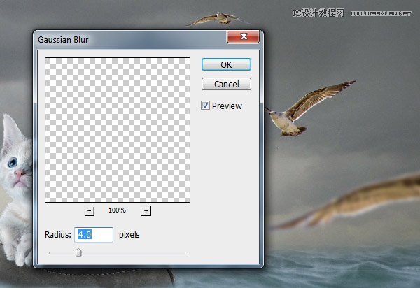 创意合成：用PS合成水中漂流的可爱猫咪