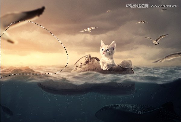 创意合成：用PS合成水中漂流的可爱猫咪