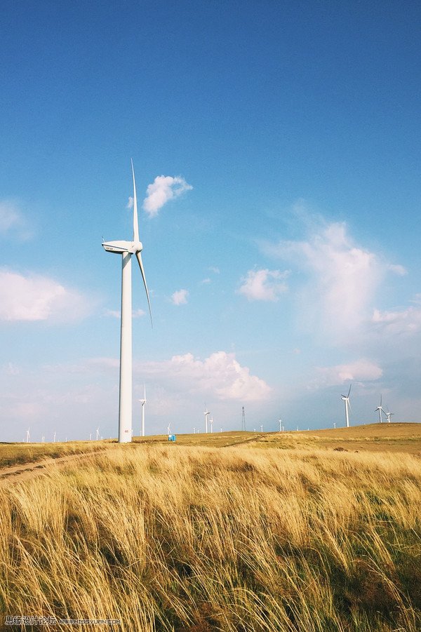 如何用手机拍出简单干净的构图