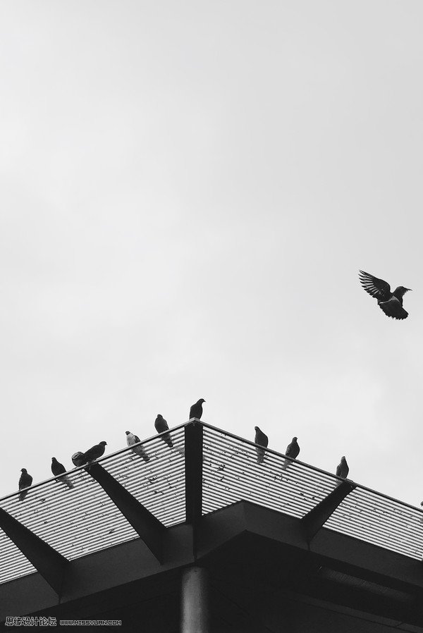 如何用手机拍出简单干净的构图