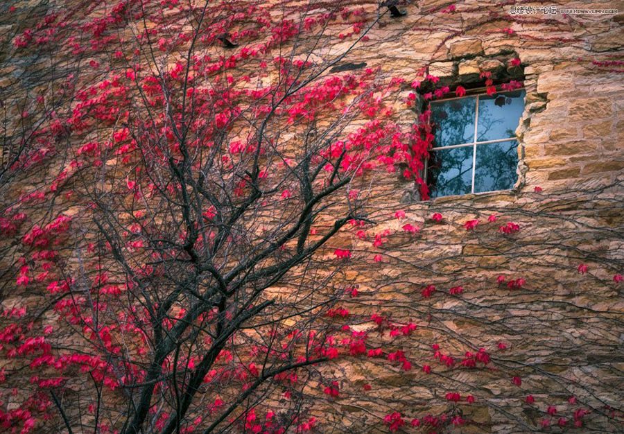 如何提升风光摄影大片的情感表现力
