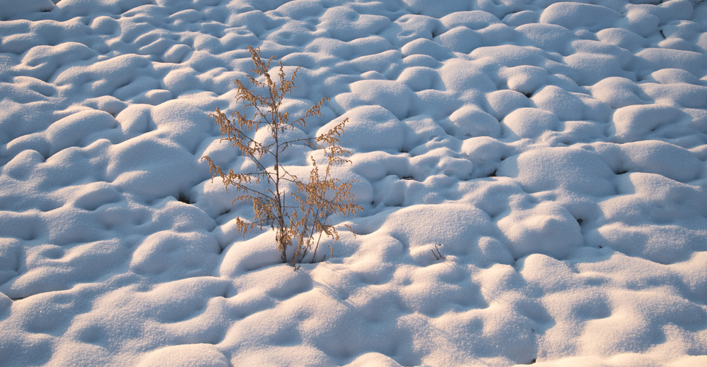 详解如何在晴天里拍出大片效果
