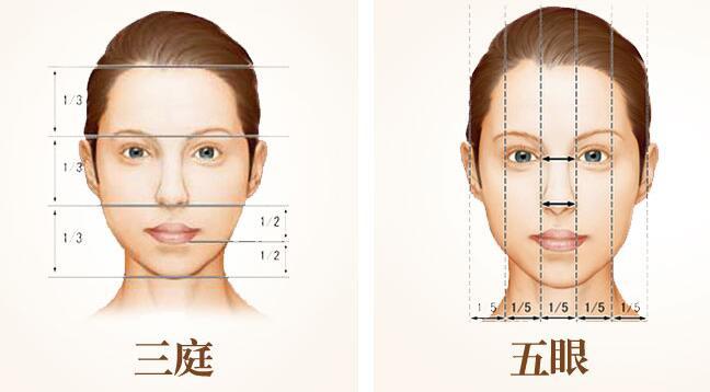 浅谈动漫人物脸型画法及脸部结构比例